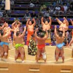 Sumo Tournament Experience in Nagoya - What Travelers Say