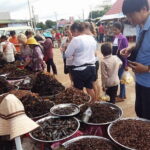 Sun Set in Angkor Wat, explore Bayon, Ta Prohm & Street Food - The Full Experience: What to Expect on the Tour