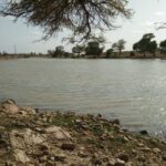 Sun Set Safari with Dinner - Why This Tour Stands Out