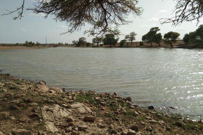 Sun Set Safari with Dinner - Why This Tour Stands Out