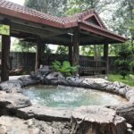 Sungkai Hot Springs & Nature Park Tour from Kuala Lumpur - A Detailed Look at the Sungkai Hot Springs & Nature Park Tour