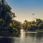 Sunset Cruise with Village Life and Local Food - Who Will Love This Tour?