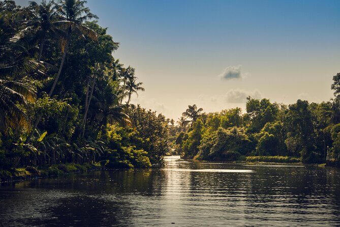 Sunset Cruise with Village Life and Local Food - Who Will Love This Tour?