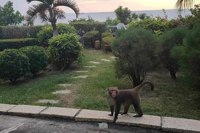 Sunset Dinner on Monkey Mountain - FAQ