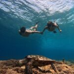 Sunset Snorkeling with Picture & Video in Gili Meno Turtle - An In-Depth Look at the Sunset Snorkeling Tour
