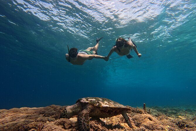 Sunset Snorkeling with Picture & Video in Gili Meno Turtle - An In-Depth Look at the Sunset Snorkeling Tour