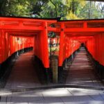 Super Express Nara & Kyoto Private 1-Day Tour from Tokyo - Authentic Experiences and Authenticity