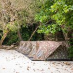 Surin Islands 2 Days 1 Night Trip from Phuket - Weighing the Value: Is This Tour Worth It?