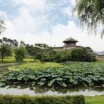 Suwon Hwaseong Fortress Tour from Seoul - Who This Tour Is Perfect For