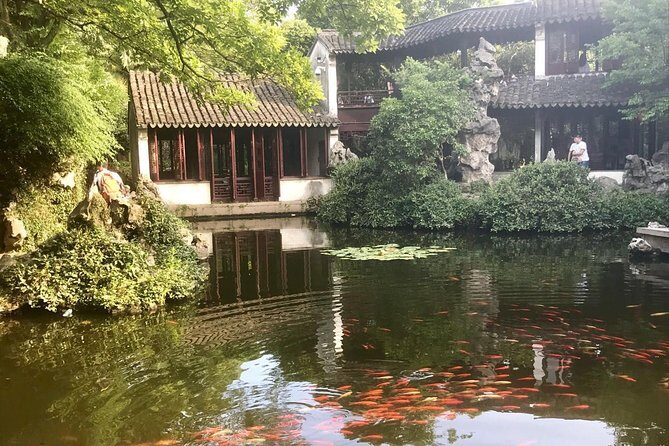Suzhou and Tongli Water Town Private Tour from Shanghai with Options - An In-Depth Look at the Tour Experience