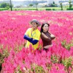 Taichung Must-Visit Join In Day Tour from Taipei - Why This Tour Offers Good Value