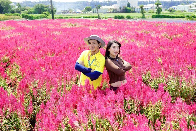 Taichung Must-Visit Join In Day Tour from Taipei - Why This Tour Offers Good Value