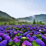 Taipei Customize Your Private Day Tour with Driver Guide - Exploring Taipei with a Private Driver Guide: A Deep Dive