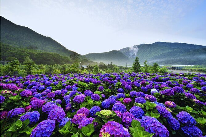 Taipei Customize Your Private Day Tour with Driver Guide - Exploring Taipei with a Private Driver Guide: A Deep Dive