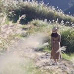 Taipei's Backyard - Yangmingshan National Park Day Tour - Final Stop: Qingtiangang Grassland