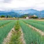 Taiwan: 10-Day Private Island Tour with 4-Star Hotels - FAQs