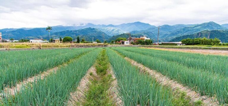 Taiwan: 10-Day Private Island Tour with 4-Star Hotels - FAQs