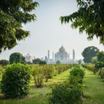 Taj Mahal and Agra Fort Private Full Day Tour By Car - What Travelers Say
