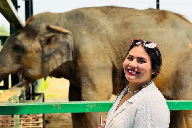 Taj Mahal Day Tour with Elephant from Delhi by Superfast Train - Deep Dive: Why This Tour Works