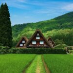 Takayama and Shirakawa Day Tour with Hida Beef Lunch from Nagoya - FAQs