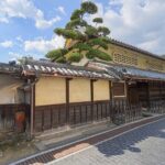 Takehara Historical Townscape & Rabbit Island - What Makes This Tour Stand Out?