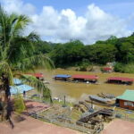 Taman Negara National Park Day Excursion with Canopy Walk from KL - Authentic Experiences and Traveler Feedback