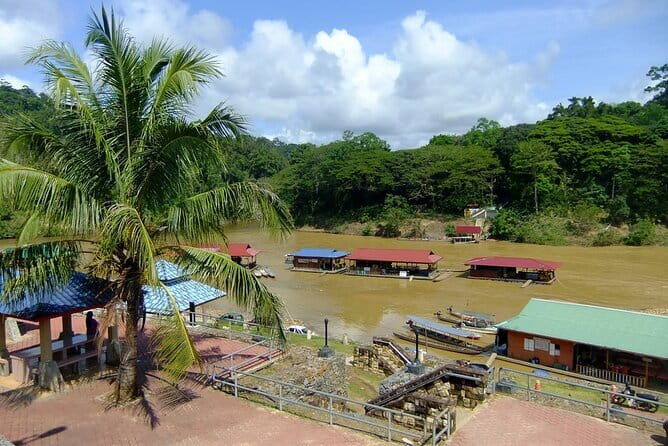 Taman Negara National Park Day Excursion with Canopy Walk from KL - Authentic Experiences and Traveler Feedback