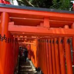 Tameike Exploring the Heart of Japanese Politics Tour - What This Tour Means for Your Trip