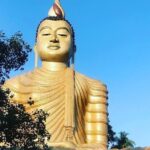 Tangalle Sightseeing Tour - In-Depth Review of the Tangalle Sightseeing Tour