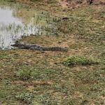 Tangalle to Katunayaka Air Port - The Itinerary and Route