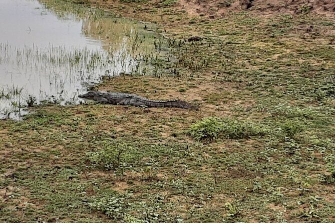 Tangalle to Katunayaka Air Port - The Itinerary and Route