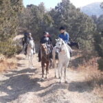 Tashkent: 3-Day Horseback Riding Tour in Chimgan Mountains - What’s Included and What to Consider