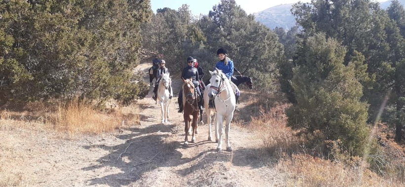 Tashkent: 3-Day Horseback Riding Tour in Chimgan Mountains - What’s Included and What to Consider