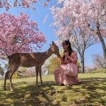 Taste of Nara A Guided Half Day Food Tour Tailored to Your Taste - Why This Tour Adds Value