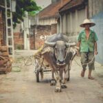 Tay phuong pagoda and Duong Lam ancient village with biking - Who Is This Tour Best For?