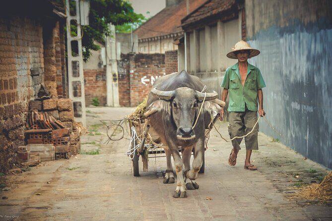 Tay phuong pagoda and Duong Lam ancient village with biking - Who Is This Tour Best For?