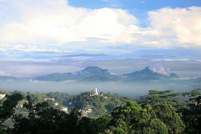 Tea Fields by Bicycle from Kandy - Final Thoughts