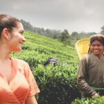 Tea Fields & Factory Tour - Who Will Love This Tour?