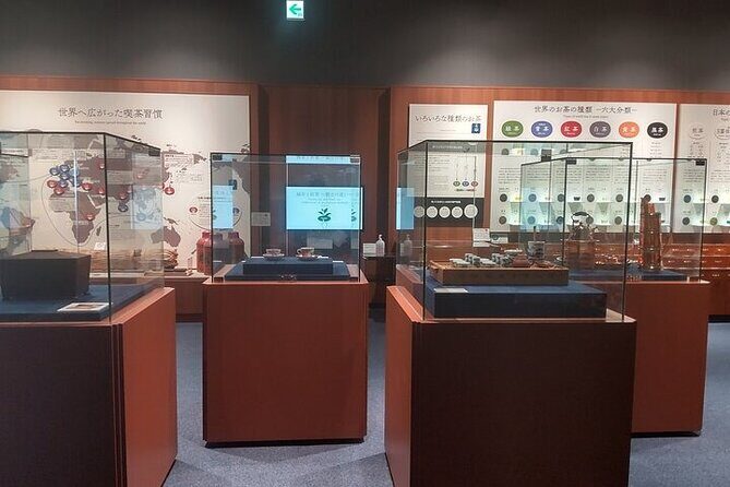 Tea Museum Shizuoka and Horaibashi Bridge Guided Tour-Van - A Deep Dive Into the Experience