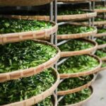 Tea of Taipei: Small-Group Tour with Taipei City Sightseeing - What Makes This Tour Special?