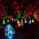 TeamLab Botanical Garden Osaka Ticket - Final Thoughts