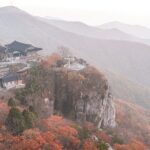 Temple Tour : Namhae Geumsan Boriam Hermitage Tour from Busan - A Deep Dive into the Boriam Hermitage Tour