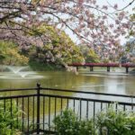 Tennoji Ward, Shinsekai 3 hours Walking Tour - Final Thoughts: Is This Tour for You?