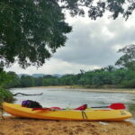 Terengganu Wildlife Kayak Tour - Why This Tour Stands Out