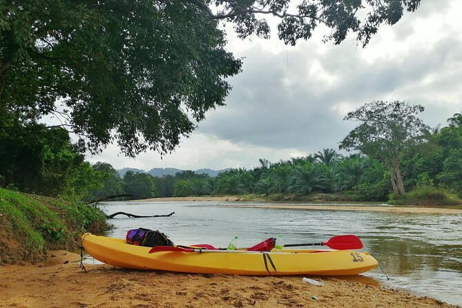 Terengganu Wildlife Kayak Tour - Why This Tour Stands Out