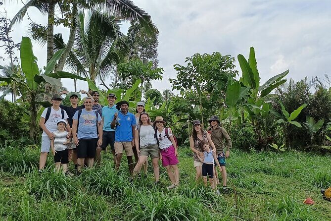 Tetebatu Guided Tour in Rice Terraces Waterfall and Monkey Forest - The Sum Up