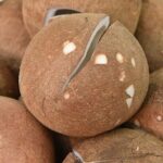 Thai Cooking Class with Market Tour in Sathon Bangkok - An In-Depth Look at the Experience