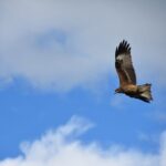 The best of Central Mongolia Guided 3 day Adventure - FAQs