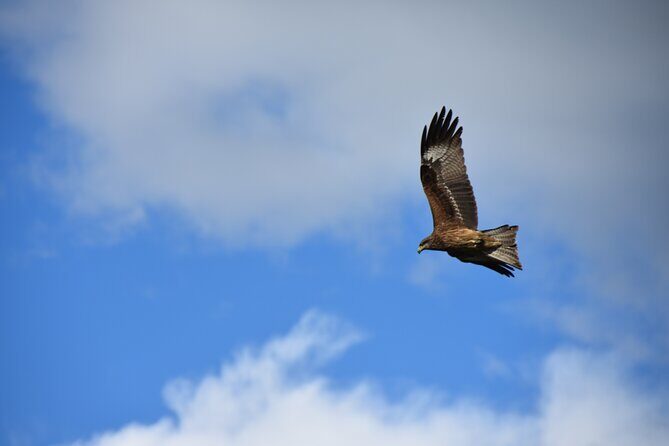 The best of Central Mongolia Guided 3 day Adventure - FAQs