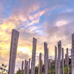 The Big Buddha & Lantau Island - Private Tour with Private Car - What Makes This Tour Stand Out?